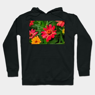 Healing Smiles Hoodie